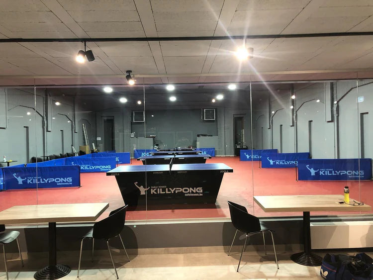 Jeu de ping-pong - PROMOTION 5 € pour 2 heures