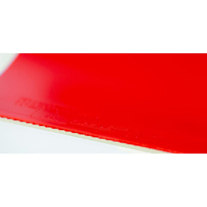 <transcy>Andro Rasanter R53</transcy>