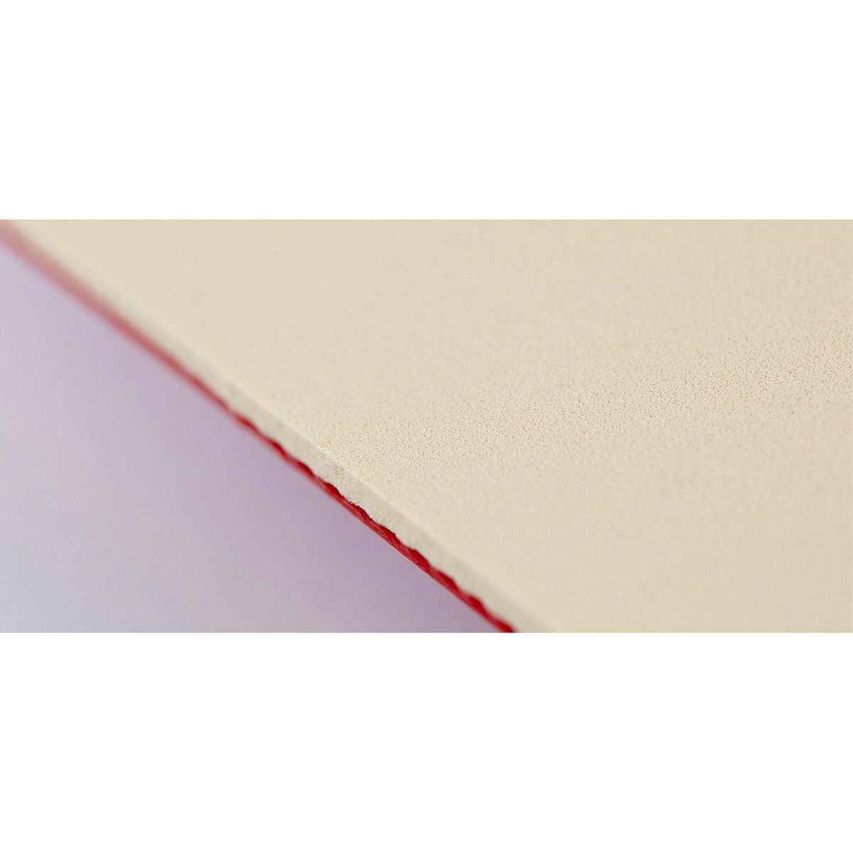 <transcy>Andro Rasanter R53</transcy>