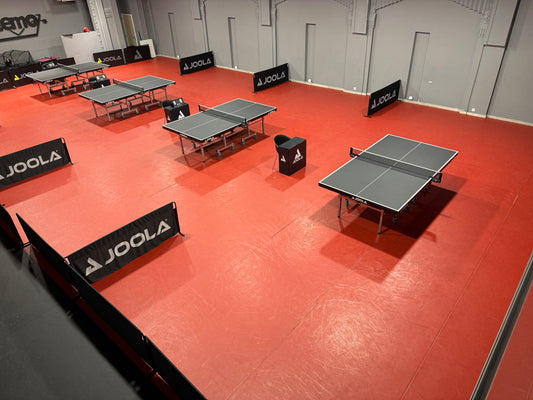 Jeu de ping-pong - PROMOTION 5 € pour 2 heures