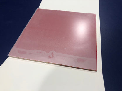 <transcy>Joola Dynaryz AGR</transcy>