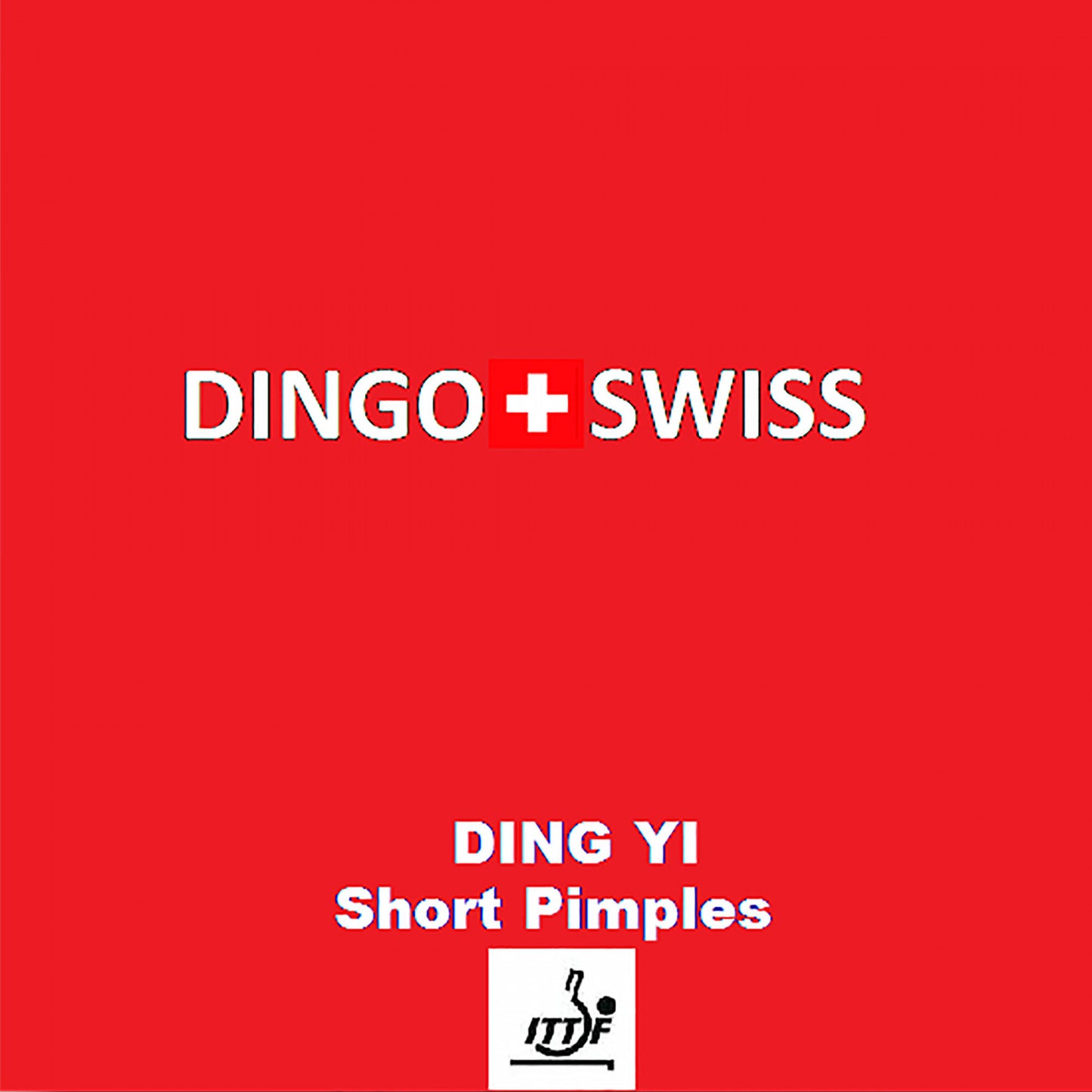 Dingo Swiss Ding Yi